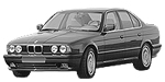 BMW E34 B3176 Fault Code
